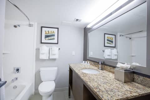 Holiday Inn St Louis SW - Route 66 by IHG — photo 5