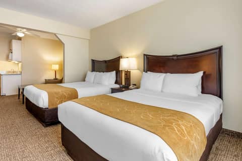 Comfort Suites Maingate East — photo 4