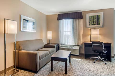 Clarion Inn & Suites Atlanta Downtown — photo 6