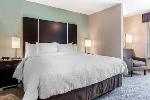 Clarion Inn & Suites Atlanta Downtown — photo 7