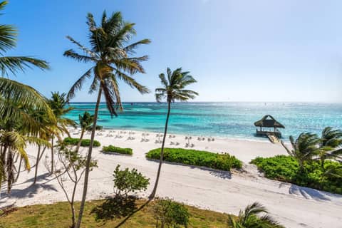The Westin Puntacana Resort — photo 4
