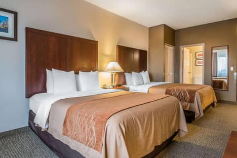 Comfort Inn & Suites Seattle North — photo 3