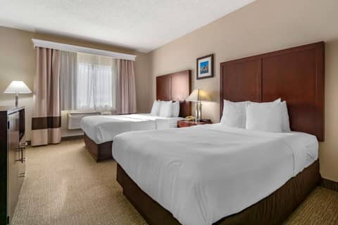 Comfort Inn & Suites Seattle North — photo 5