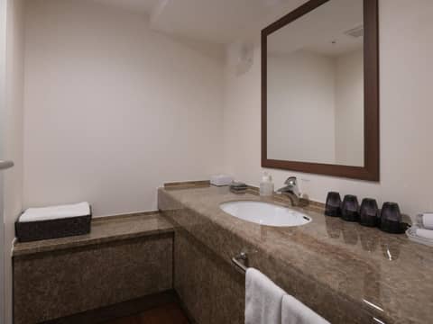 Vessel Inn Sapporo Nakajima Park — photo 2
