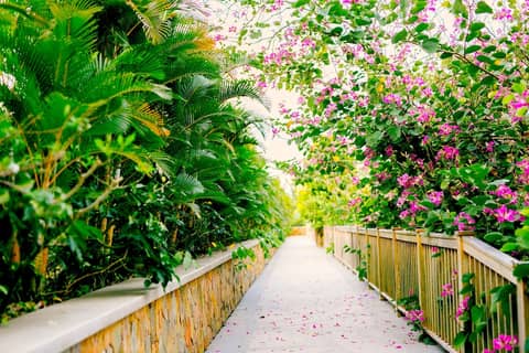 Salinda Resort Phu Quoc Island — photo 3