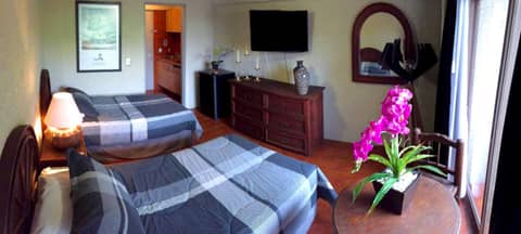 Aurora Suites — photo 3