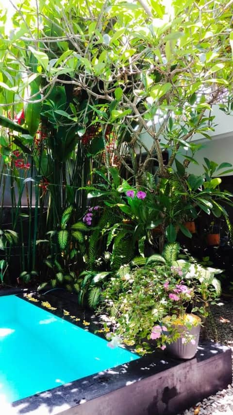 The Pavilion Hotel Kuta — photo 3