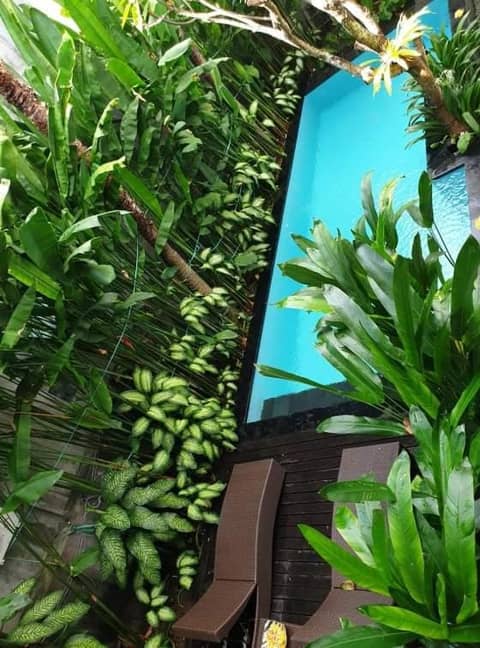 The Pavilion Hotel Kuta — photo 7