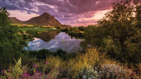 Holiday Inn Club Vacations Scottsdale Resort — other