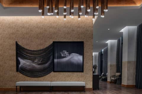 Hotel Fraye Nashville, Curio Collection By Hilton — photo 9