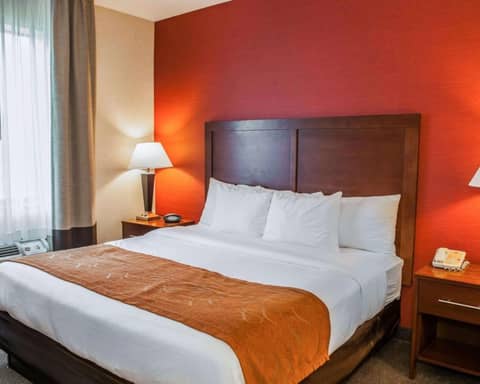 Spark by Hilton Indianapolis Northeast Fishers — photo 9