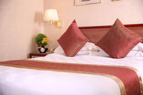 Felicity Hotel Shenzhen, Luohu Railway Station — photo 4