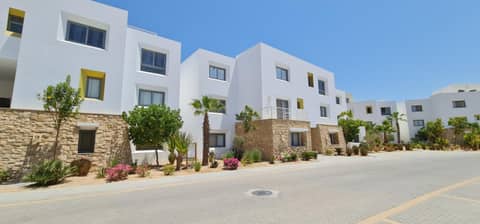 EL Gouna Swan Lake Apartment — photo 3