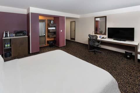 Hilton Garden Inn Montreal Centre-Ville — photo 8