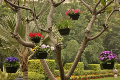 Taj Palace New Delhi — photo 4