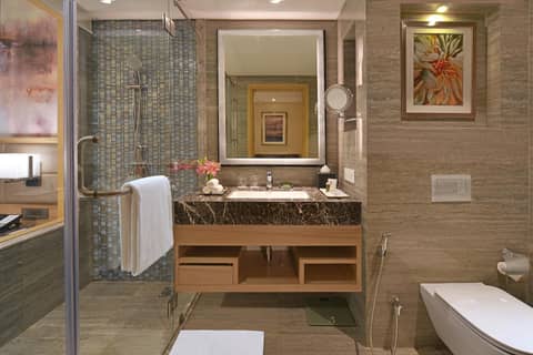 Radisson Mumbai Andheri MIDC — photo 3