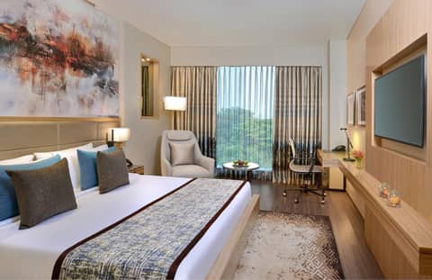 Radisson Mumbai Andheri MIDC — photo 9