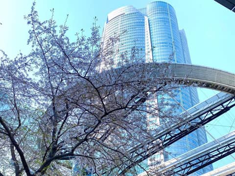 APA Hotel Roppongi SIX — photo 9
