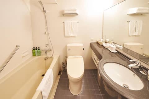 Sotetsu Fresa Inn Higashi Shinjuku — photo 8
